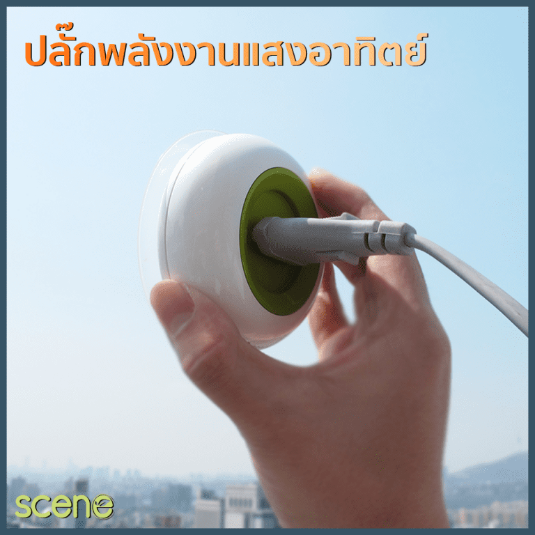 My Image 33